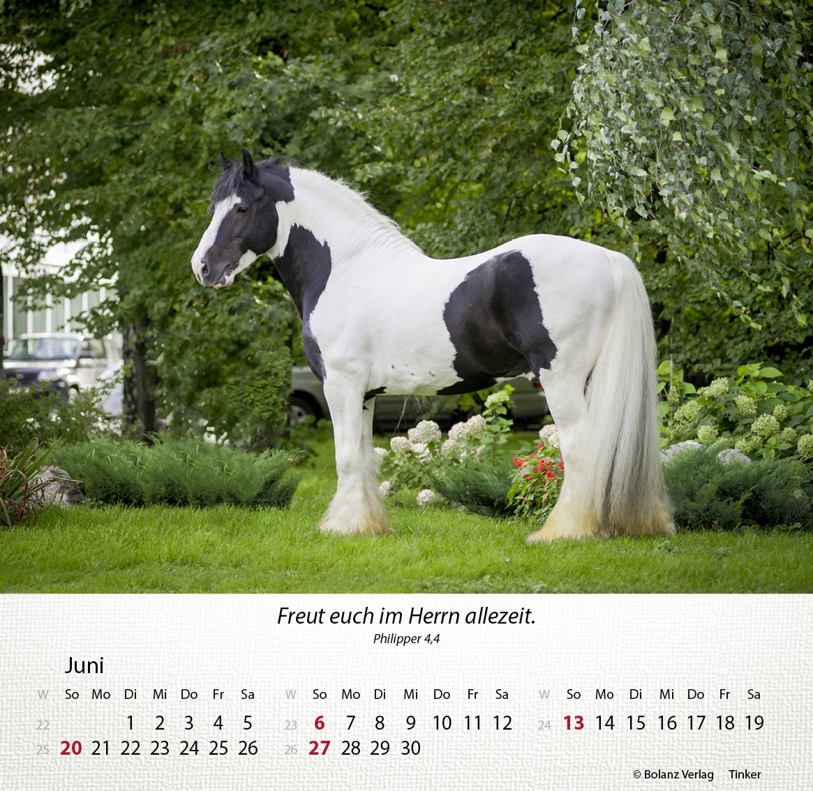 fontis-kalender-pferde-2027-tischkalender-mit-bibelversen image 7