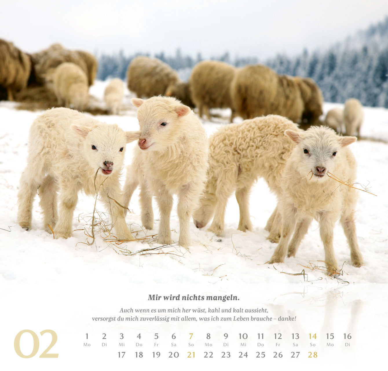 fontis-kalender-psalm-23-wandkalender-2027-der-herr-ist-mein-hirte image 3