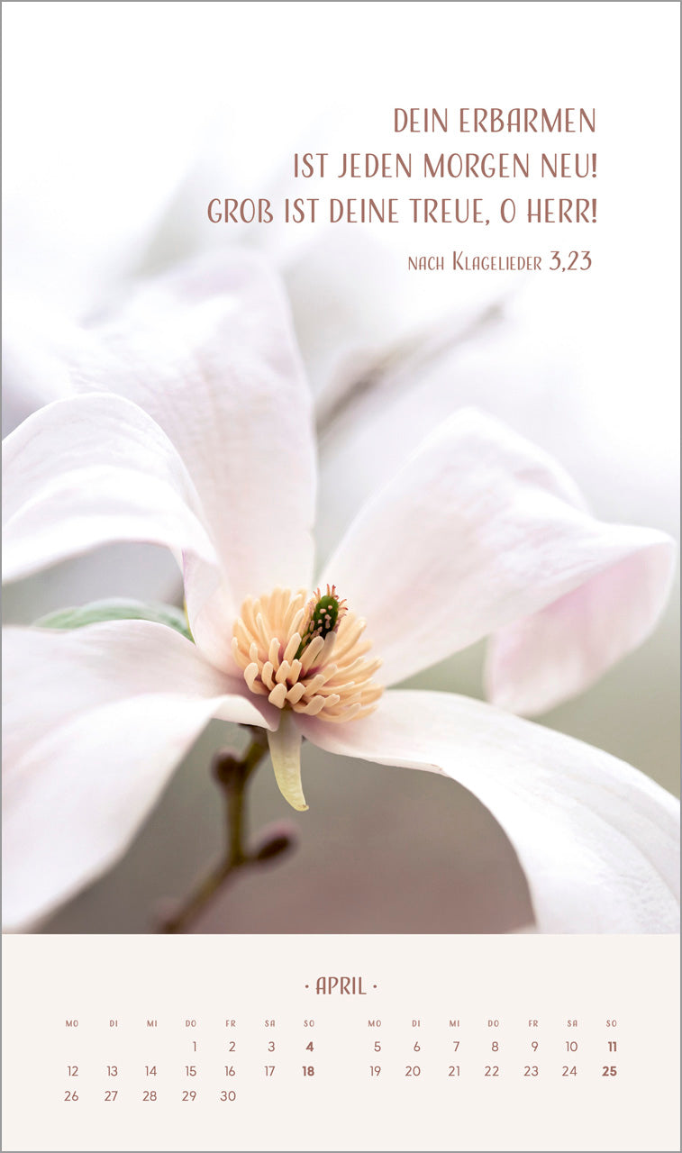 fontis-kalender-zarte-blumengr-e-2027-posterkalender-29x49 image 6