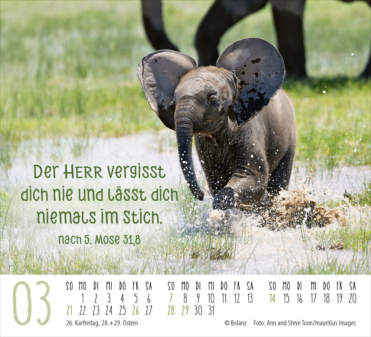 fontis-begegnungen-dich-vergess-ich-nie-minikalender-2027 image 5