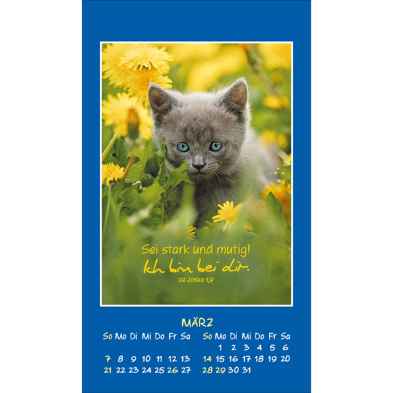 fontis-mini-katzen-tatzen-2027-aufkleberkalender-spiralbindung image 5