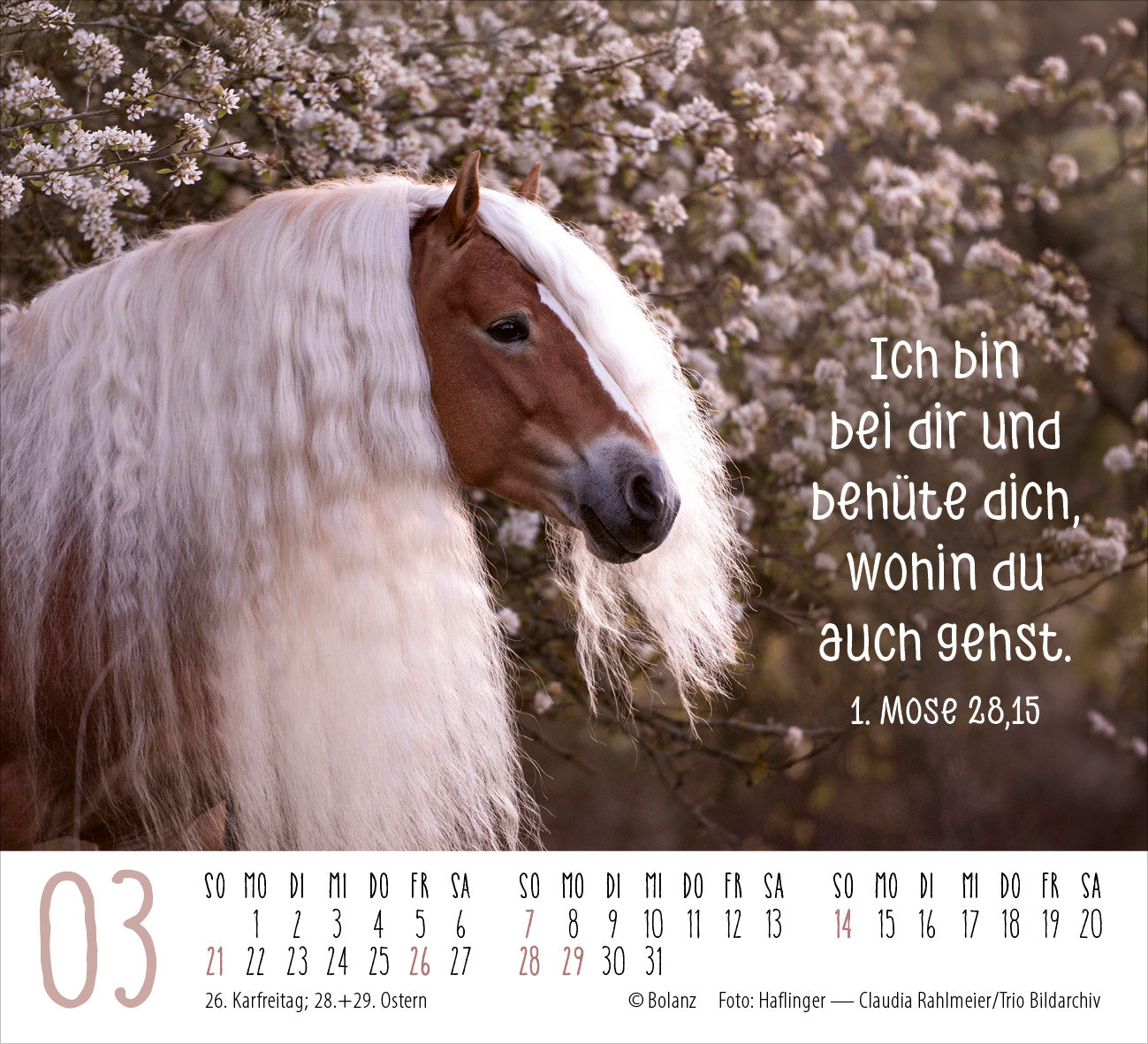 fontis-pferde-2027-minikalender-tischkalender-mit-bibelversen image 5