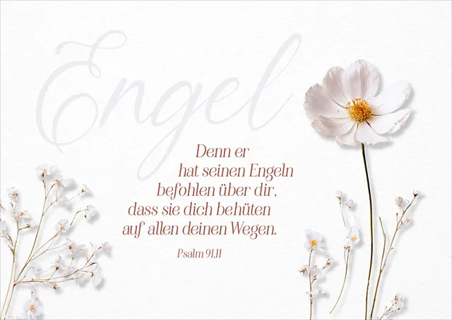 fontis-papeterie-engel-postkarten-12er-set-psalm-91-11 image 1