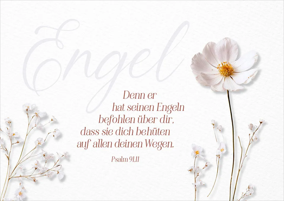 fontis-papeterie-engel-postkarten-12er-set-psalm-91-11 image 1