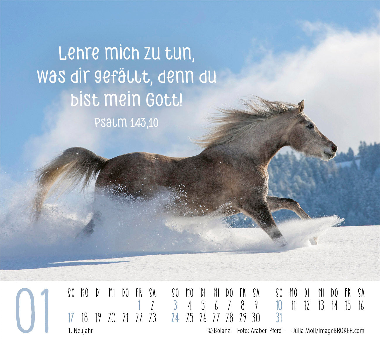 fontis-pferde-2027-minikalender-tischkalender-mit-bibelversen image 3