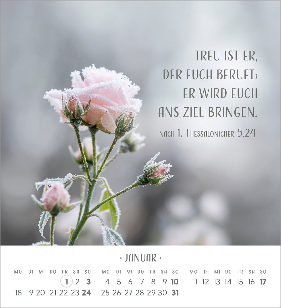fontis-zarte-blumengr-e-2027-aufstellkalender image 3