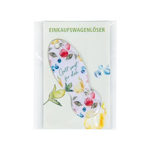 fontis-gott-sorgt-f-r-dich-einkaufswagenl-ser-edelstahl image 1