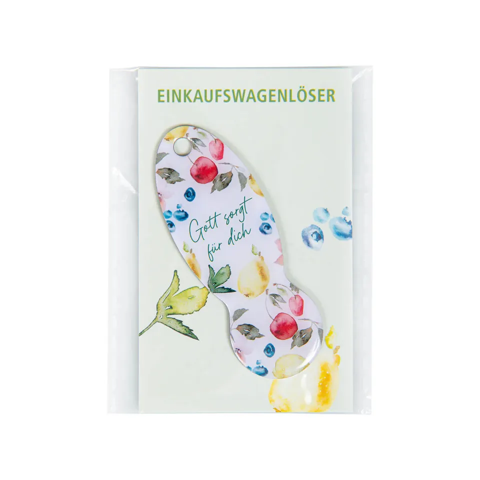 fontis-gott-sorgt-f-r-dich-einkaufswagenl-ser-edelstahl image 1