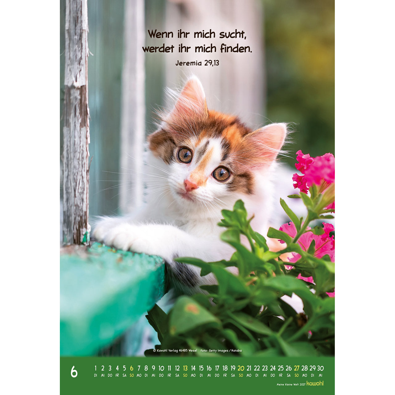 fontis-meine-kleine-welt-2027-wandkalender-f-r-kinder-tierfotos image 8