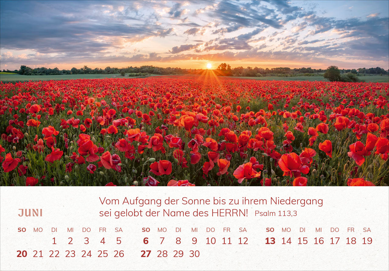fontis-mini-panorama-kalender-2027-aufstellkalender-mit-bibelversen image 8
