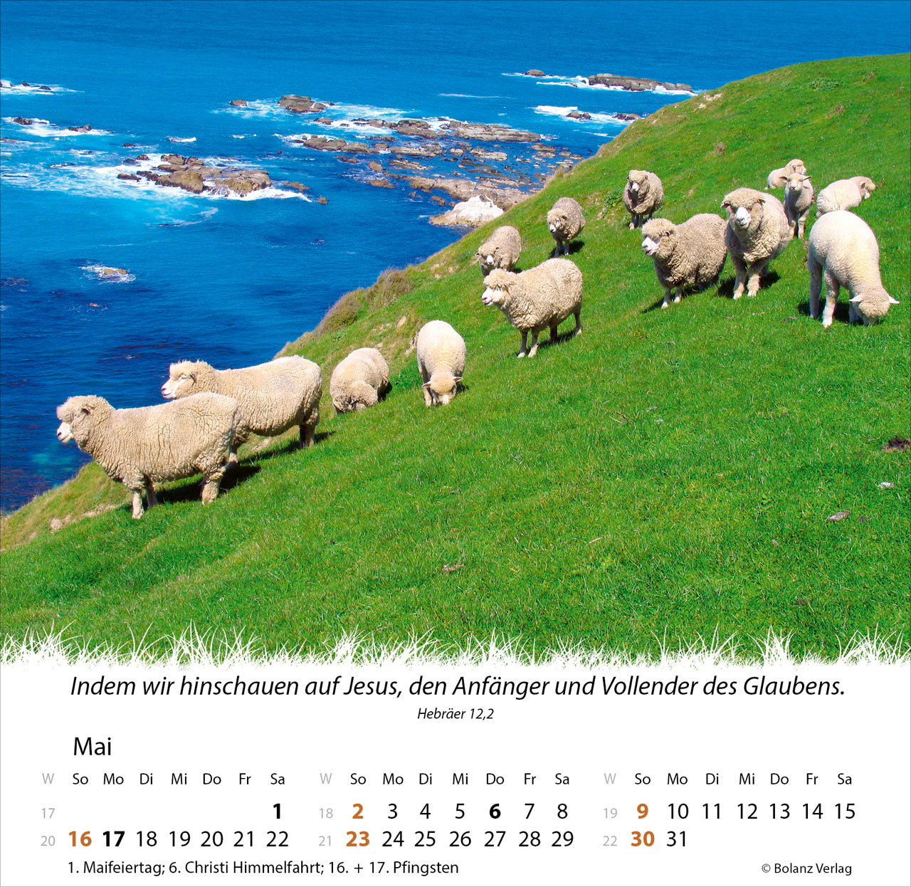 ein-leben-f-r-die-schafe-2027-tischkalender-schafe image 7