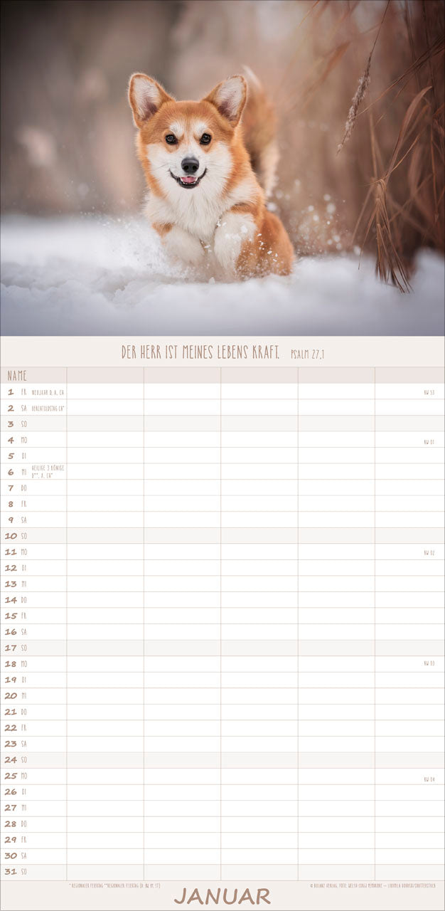 fontis-kalender-hunde-freunde-f-rs-leben-2027-familienplaner image 3