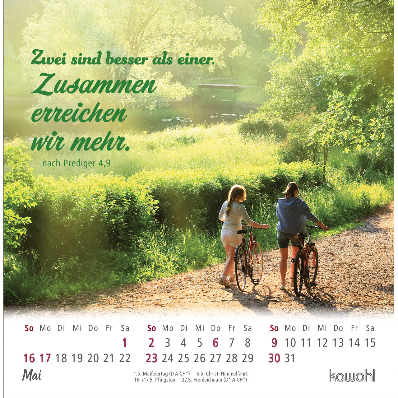 ankommen-leben-2027-postkartenkalender-spiralbindung image 7
