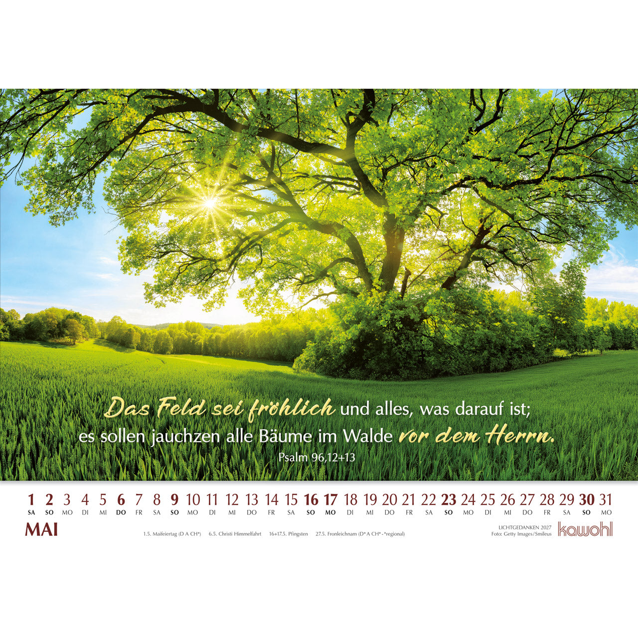 fontis-lichtgedanken-2027-wandkalender-mit-bibelworten image 7