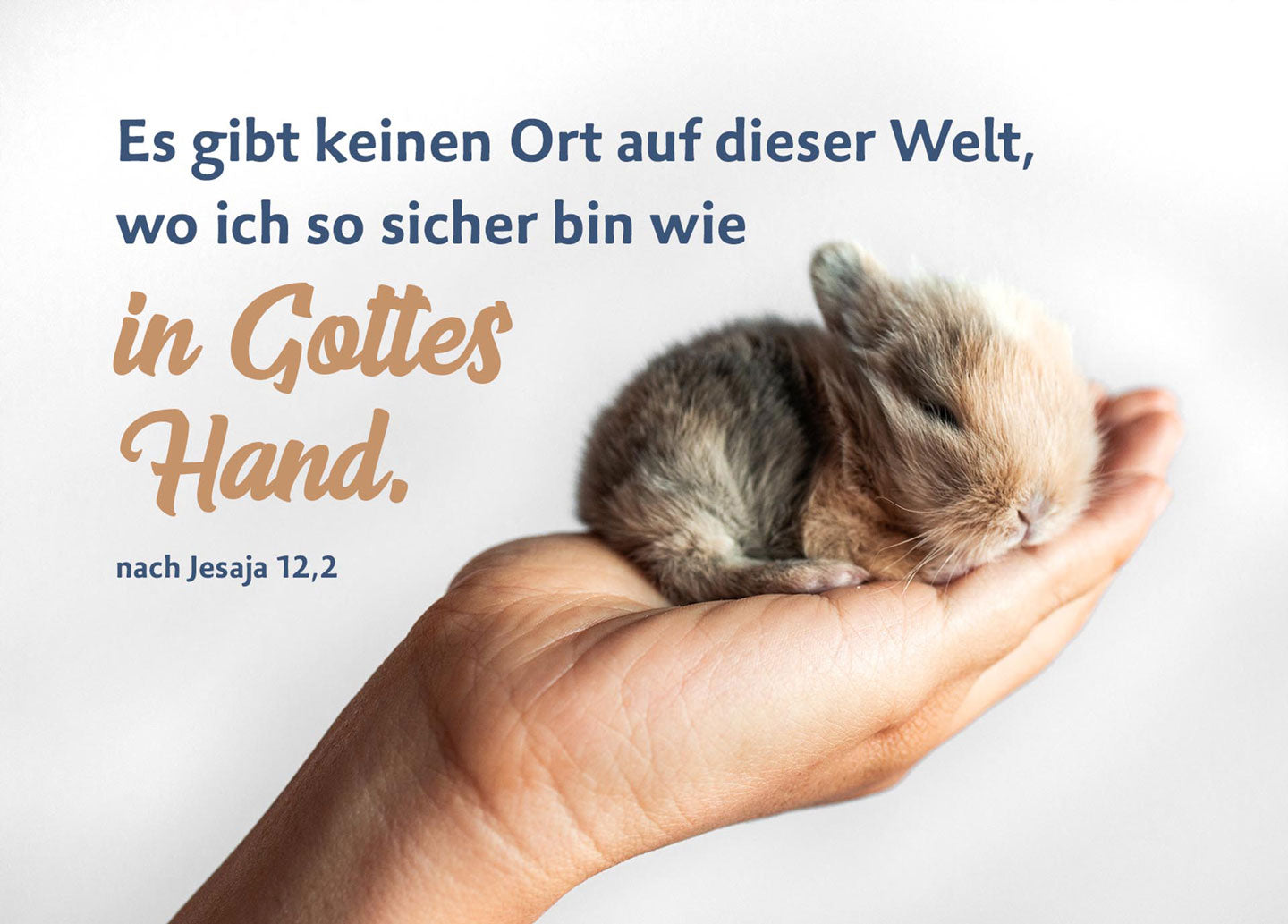 fontis-postkarte-sicher-in-gottes-hand-14-8-x-10-5-cm image 1
