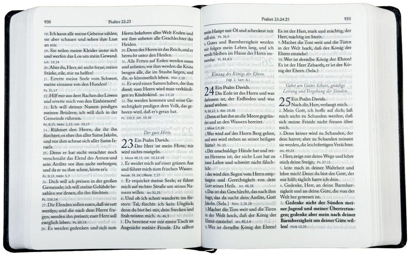 fontis-bibeln-martin-luther-1912-bibel-gro-druck-kunstleder-at-nt image 2