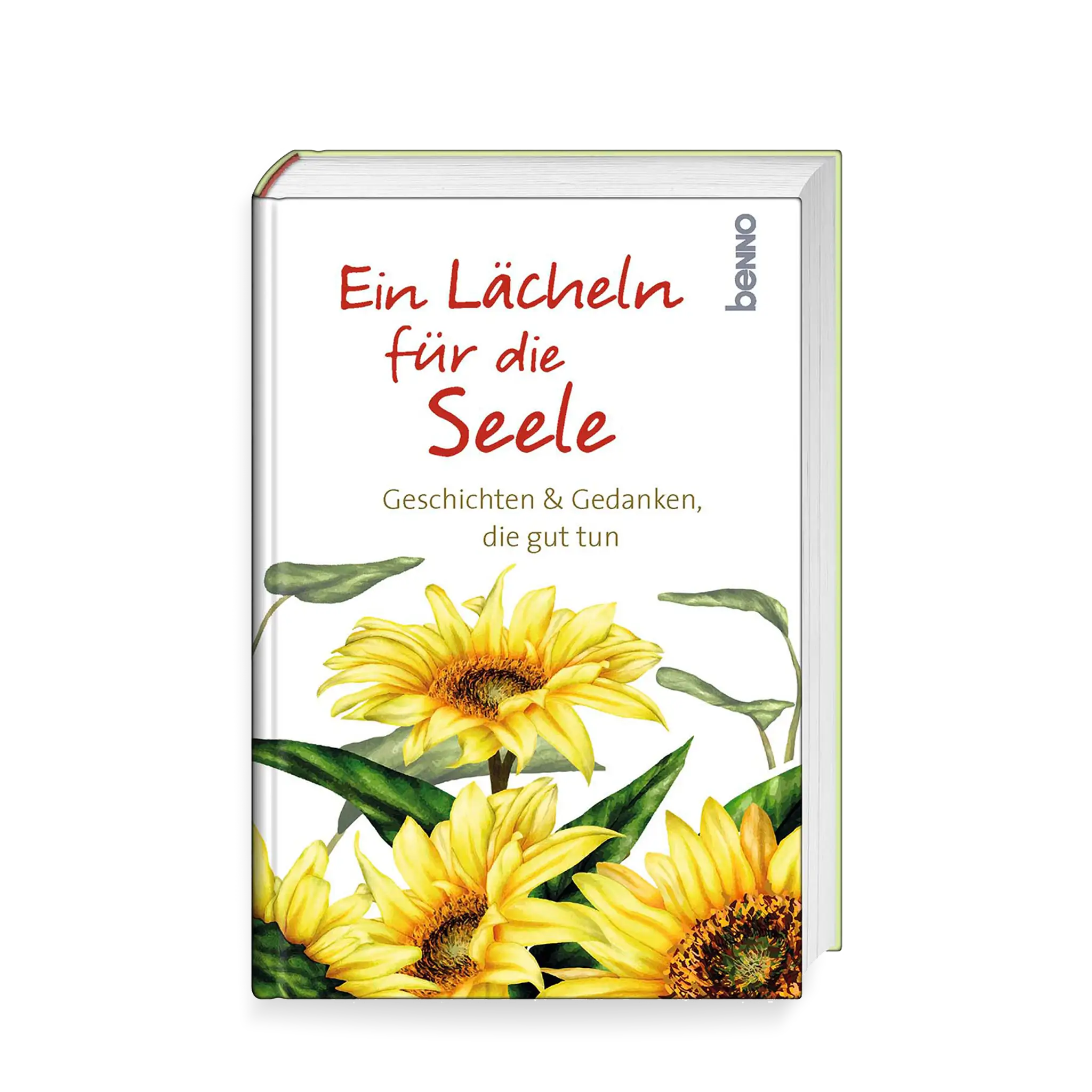 bonifatiuswerk-ein-l-cheln-f-r-die-seele-geschichten-auszeit-144-seiten image 1