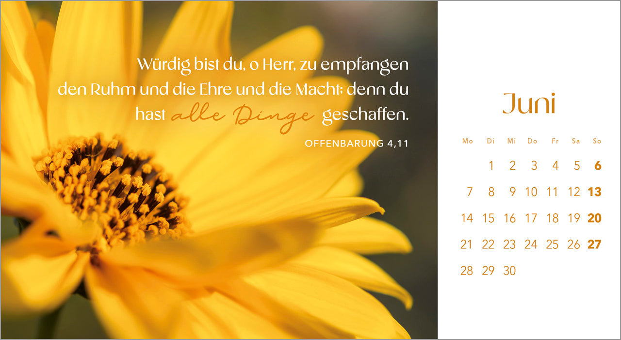 augenblicke-der-anbetung-2027-postkartenkalender-blumen image 8