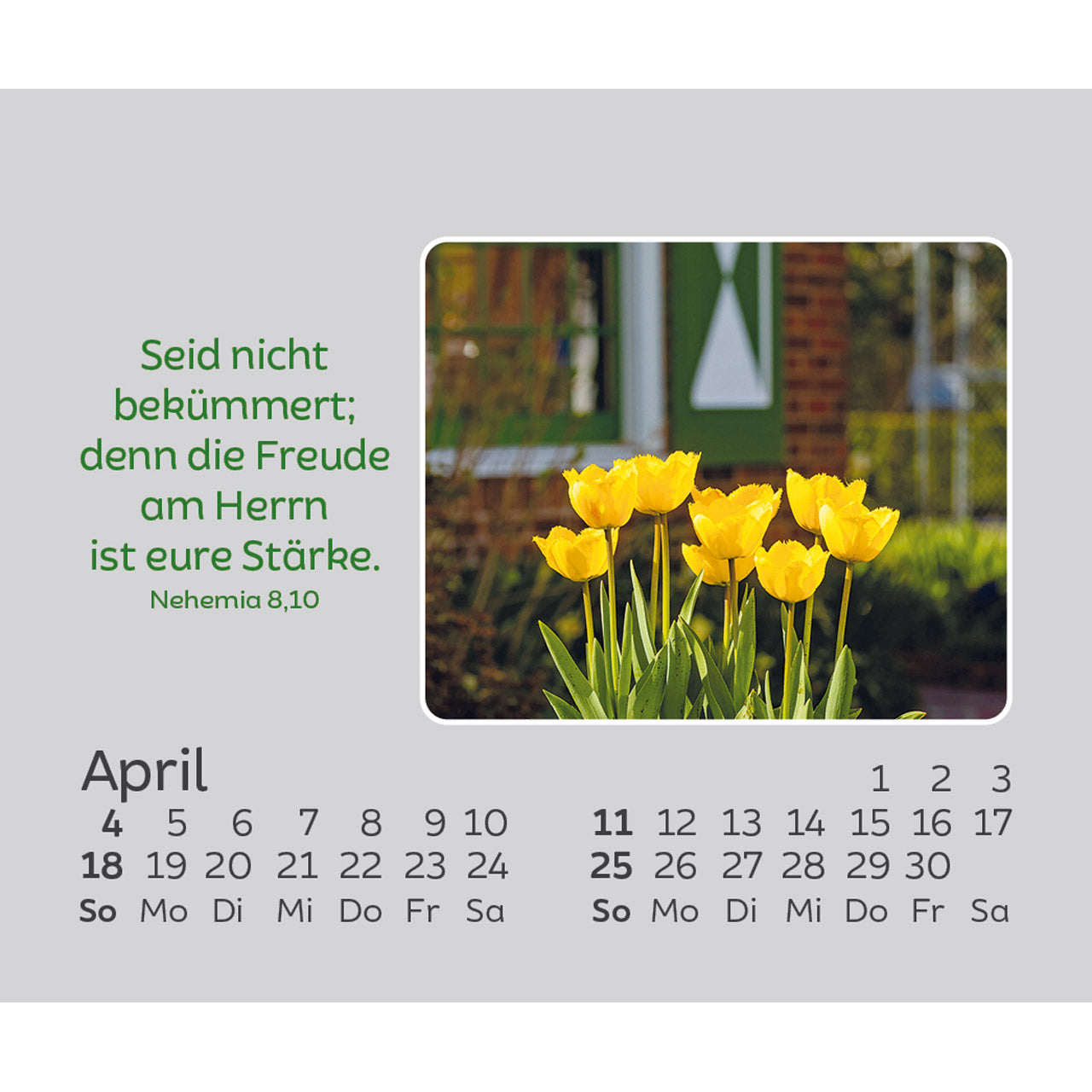 fontis-freude-f-r-jeden-tag-2027-aufstellkalender-mini-blumen image 6