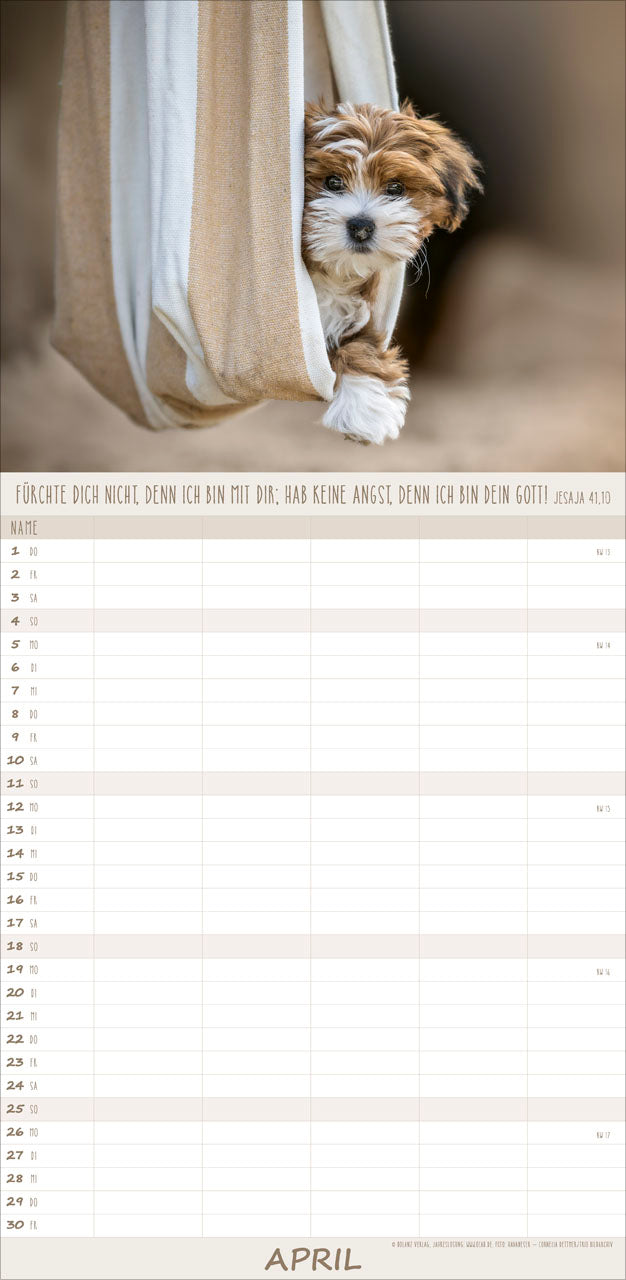 fontis-kalender-hunde-freunde-f-rs-leben-2027-familienplaner image 6