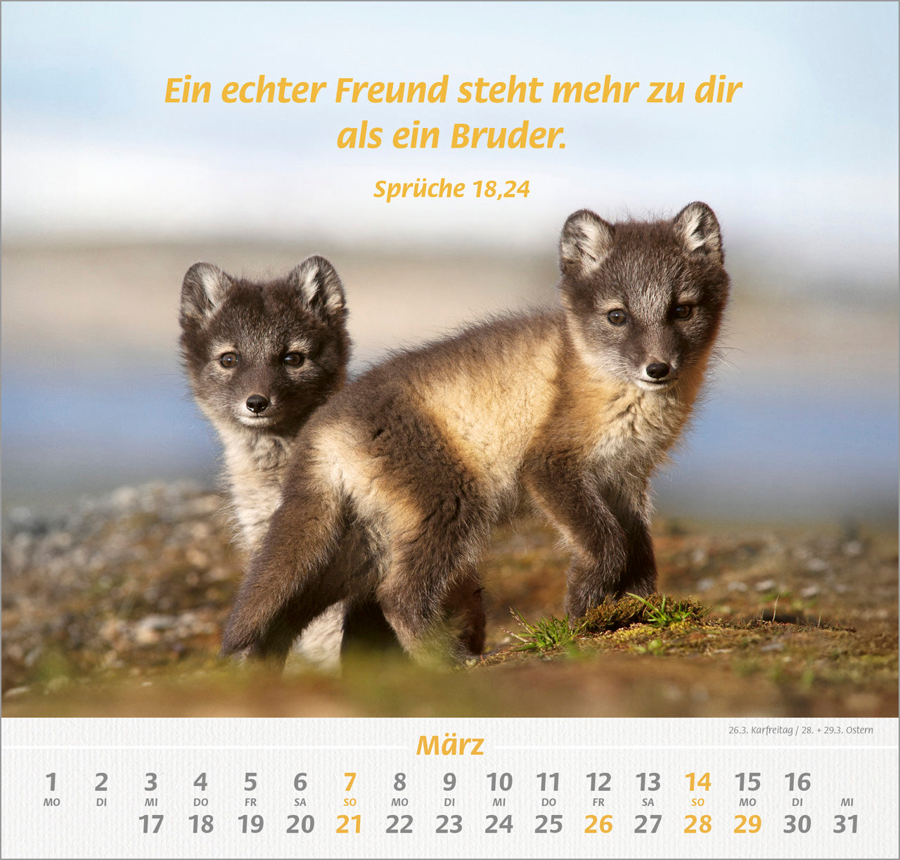 ich-hab-dich-gern-2027-wandkalender-tier-motive-spiralbindung image 5
