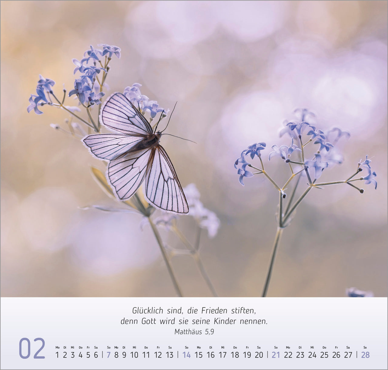fontis-kalender-gesichter-der-natur-2027-wandkalender-bibelverse image 4