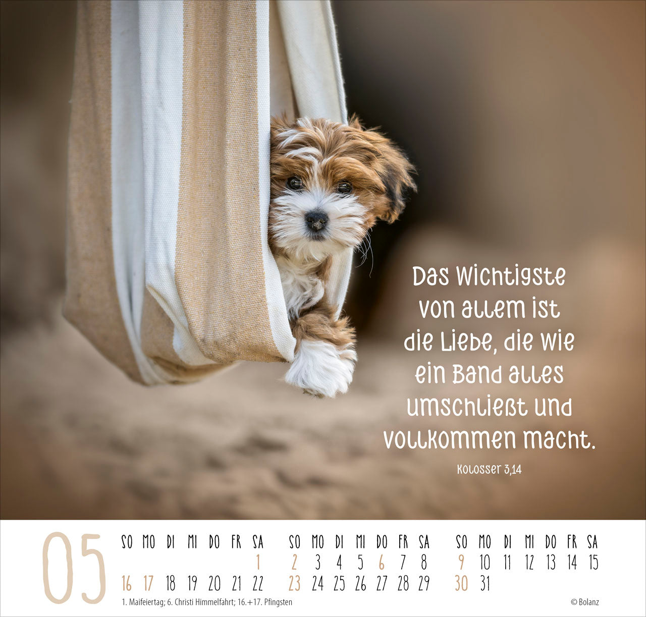 bolanz-beste-freunde-ich-mag-dich-2027-posterkalender image 7