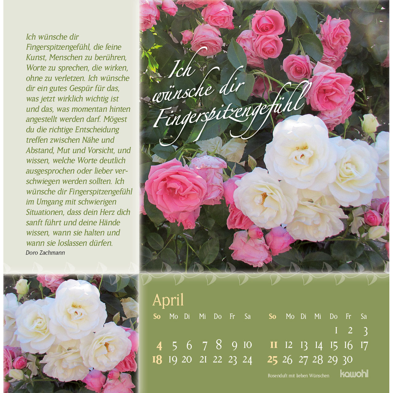 fontis-kalender-rosenduft-mit-lieben-w-nschen-2027-postkarten image 6