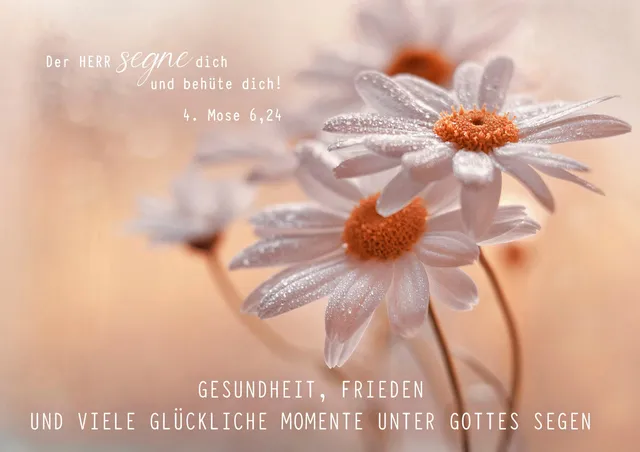 der-herr-segne-dich-faltkarte-segen-mit-naturumschlag image 1