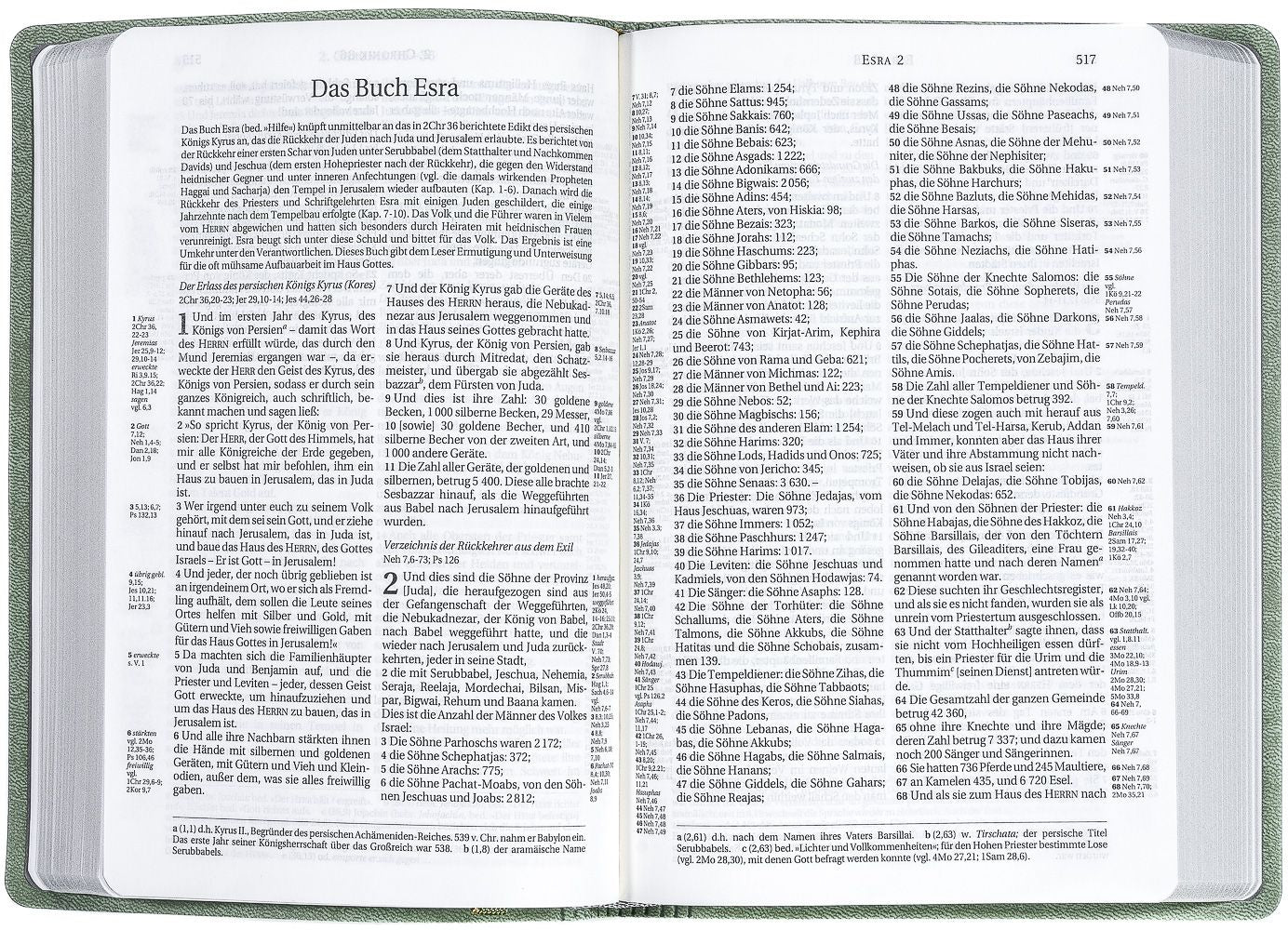 schlachter-bibel-2000-pu-oliv-bibel-grauer-farbschnitt-taschenausgabe image 3