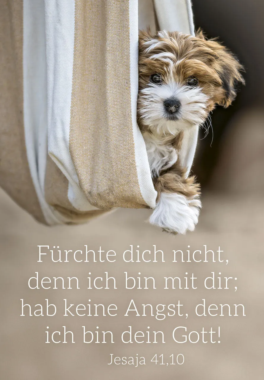 fontis-papeterie-f-rchte-dich-nicht-poster-a3-hund-2027 image 1