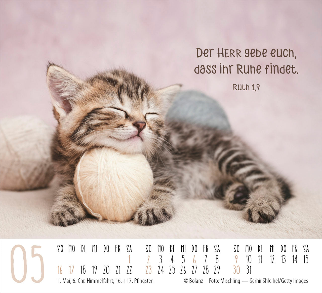 fontis-katzen-2027-minikalender-auf-leisen-pfoten-bibelverse image 7