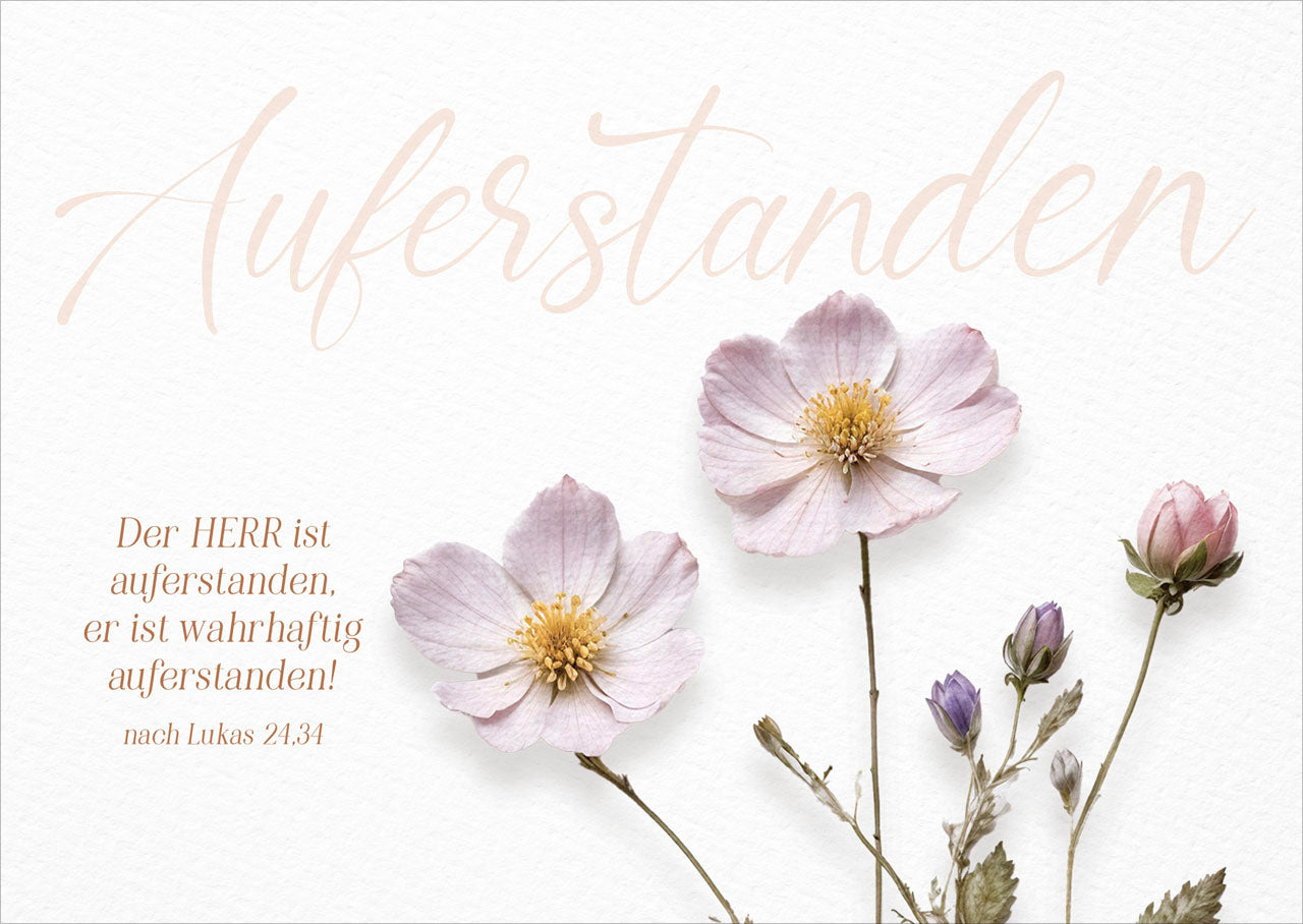 fontis-auferstanden-postkarten-12er-set-ostern-lukas-24-34 image 1