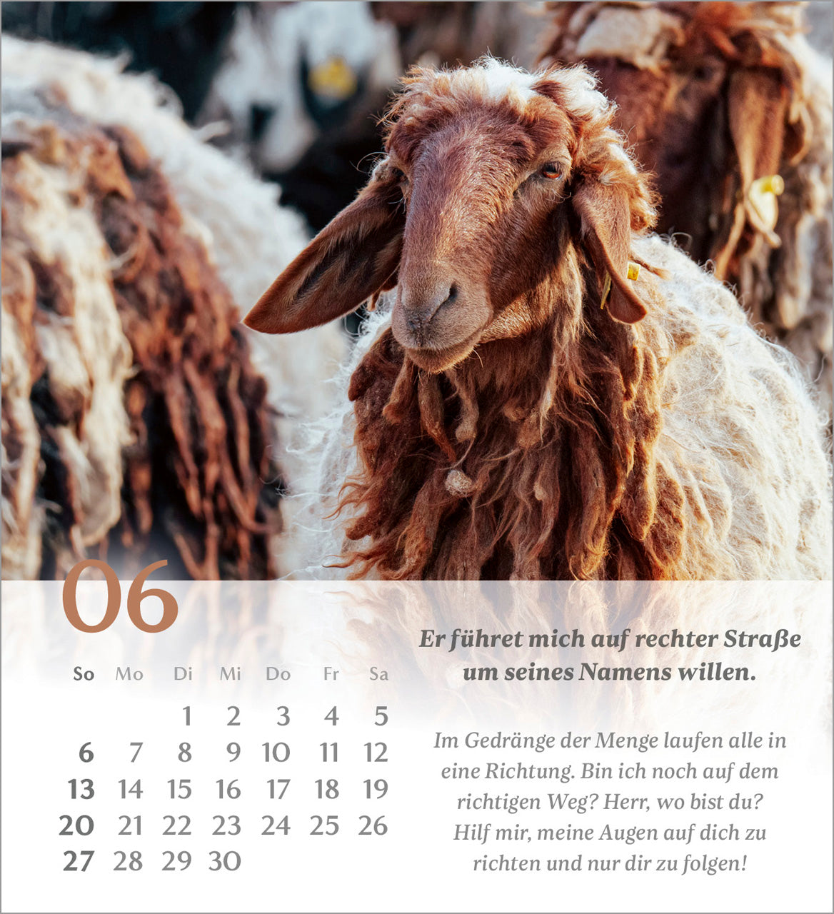 psalm-23-der-herr-ist-mein-hirte-2027-aufstellkalender image 8