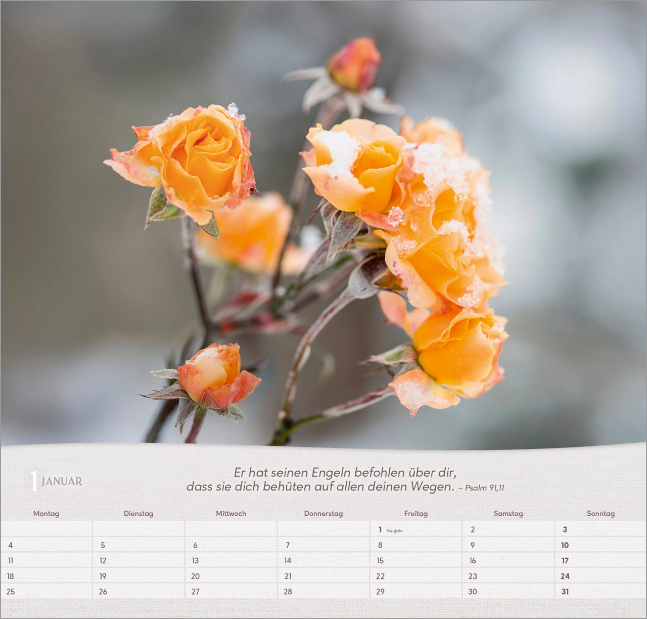 bolanz-rosen-2027-wandkalender-spiralbindung-bibelvers image 3