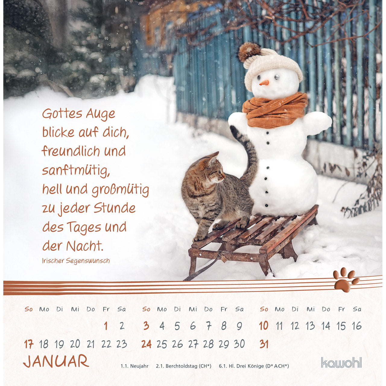 fontis-kalender-kleine-katzen-tatzen-2027-postkartenkalender-16x16-cm image 3