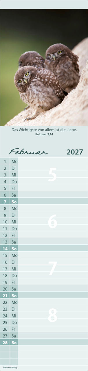 bolanz-f-r-euch-2027-streifenterminer-tiermotive-spiralbindung image 4