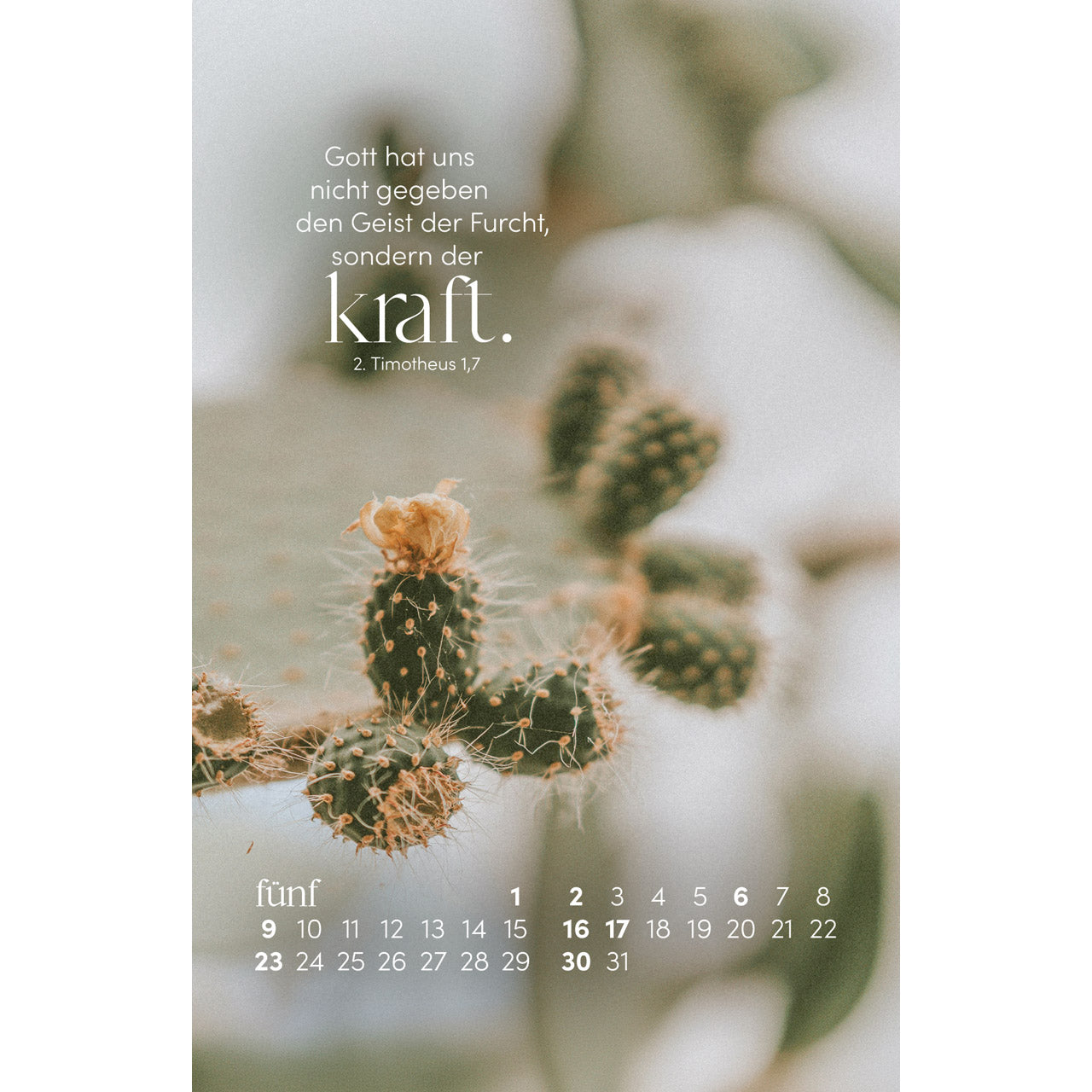 fontis-sein-wort-dein-fels-2027-postkartenkalender-mit-holzaufsteller image 7