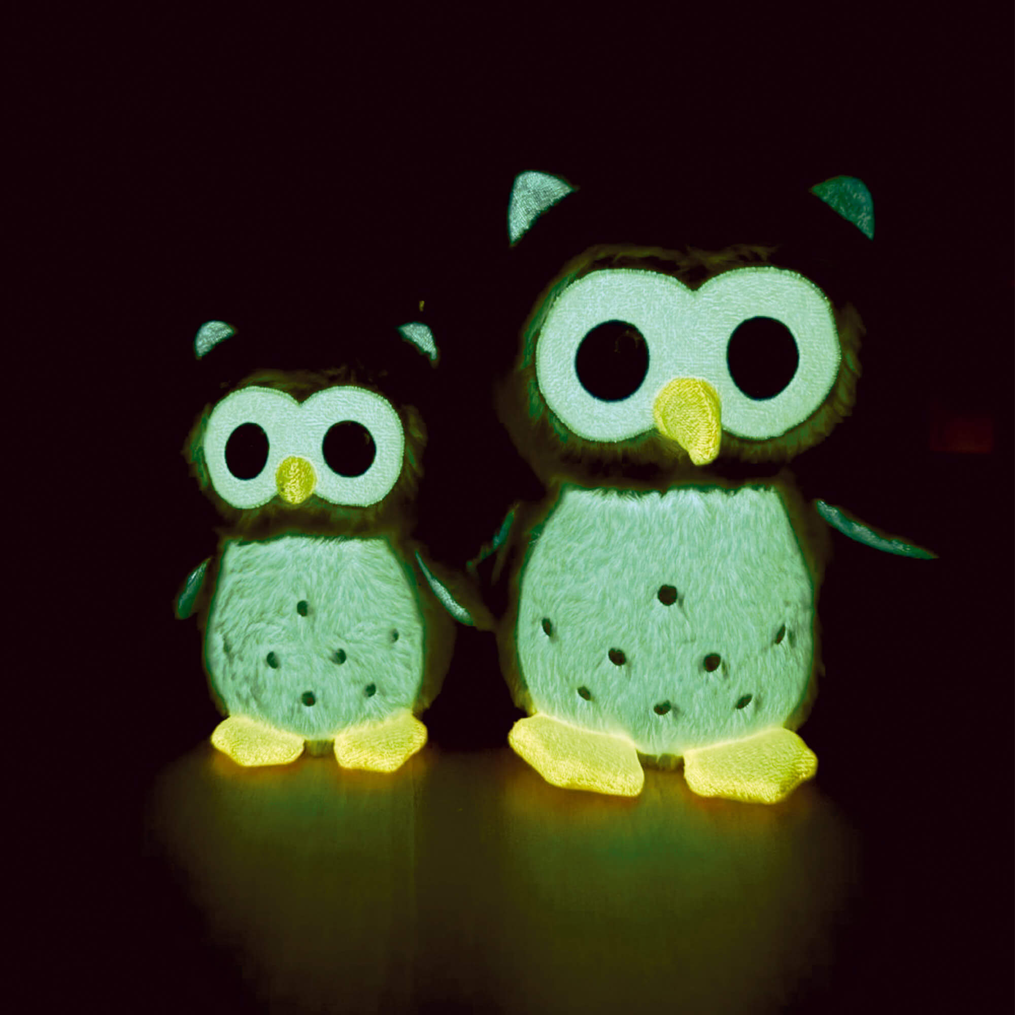 fontis-gott-ist-bei-dir-tag-und-nacht-eule-pl-schtier-klein image 2
