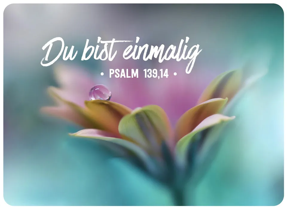 fontis-papeterie-du-bist-einmalig-postkarte-big-blessing-xl-psalm-139-14 image 1