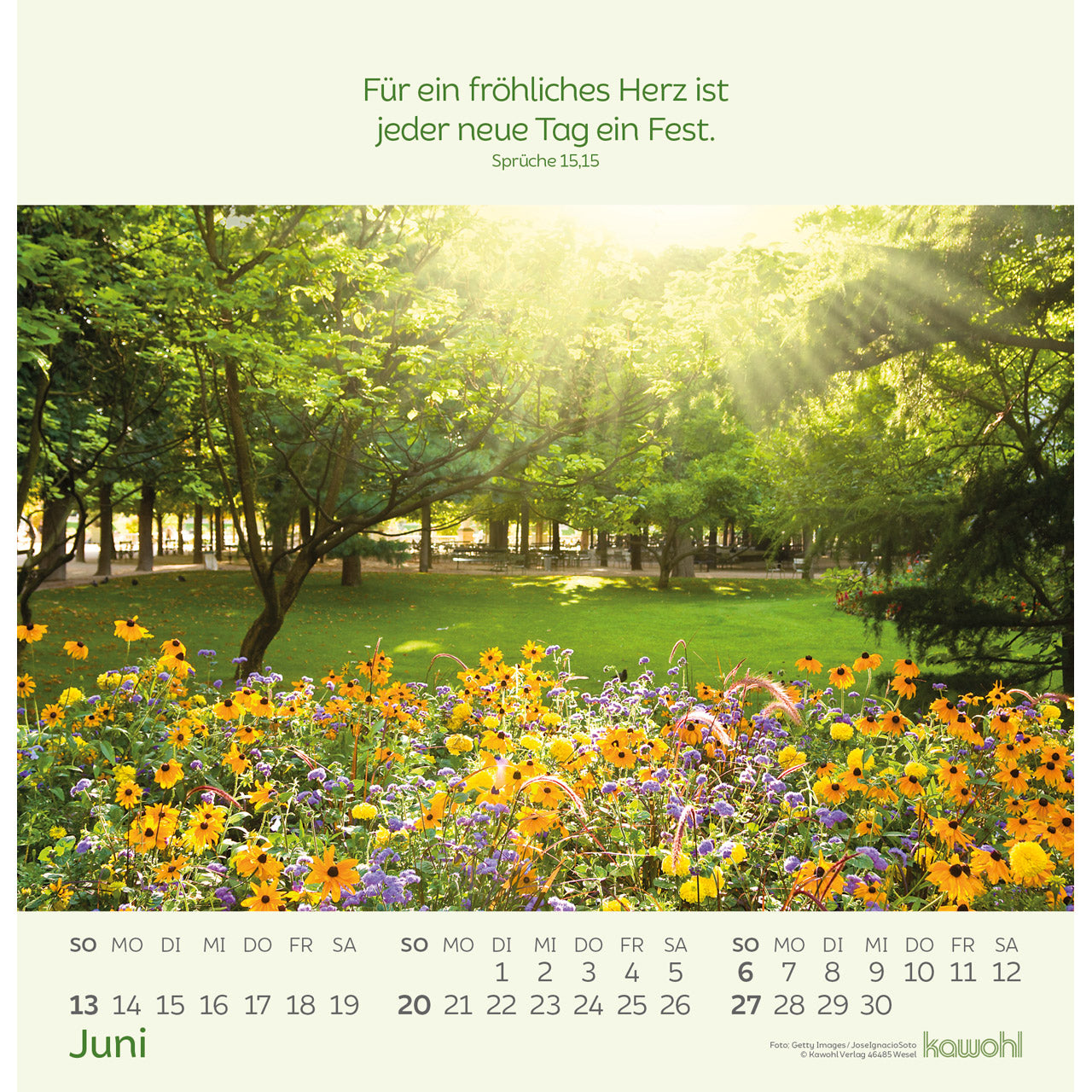 fontis-kalender-blumengr-e-2027-wandkalender-blumen image 8