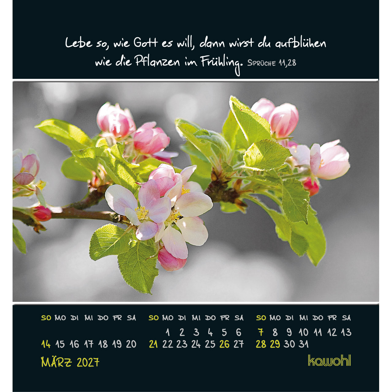 fontis-kalender-freu-dich-an-kleinen-wundern-2027-aufstellkalender image 5