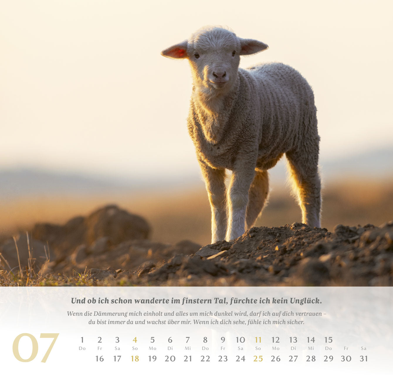fontis-kalender-psalm-23-wandkalender-2027-der-herr-ist-mein-hirte image 8