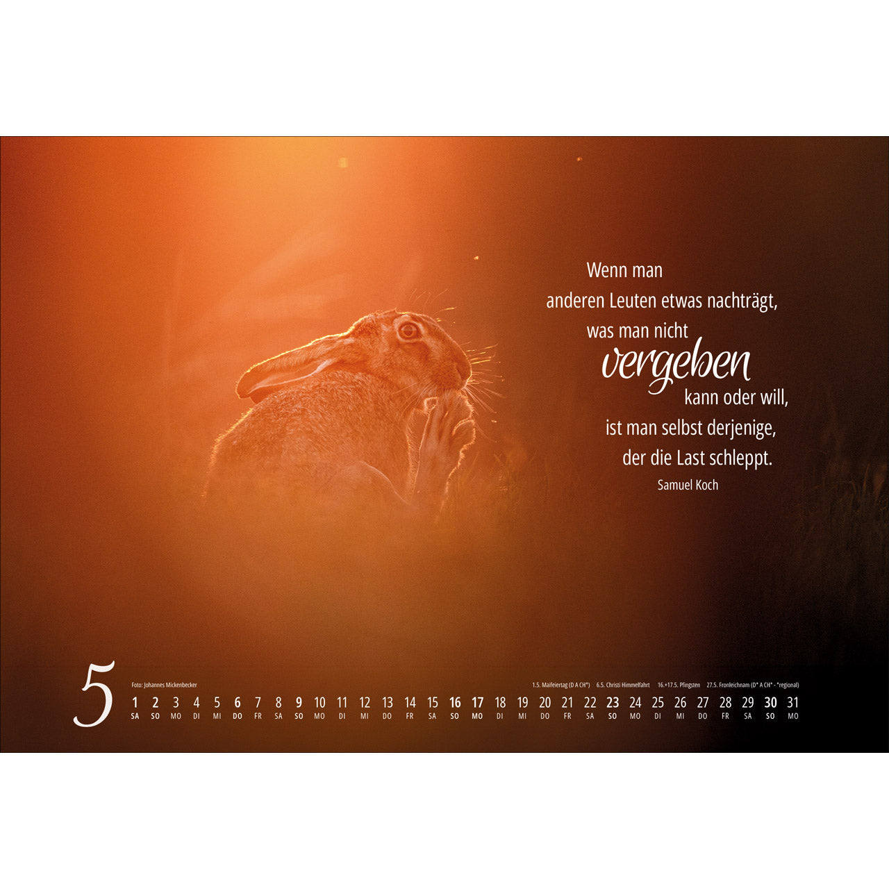 fontis-kalender-real-wildlife-2027-wandkalender image 7