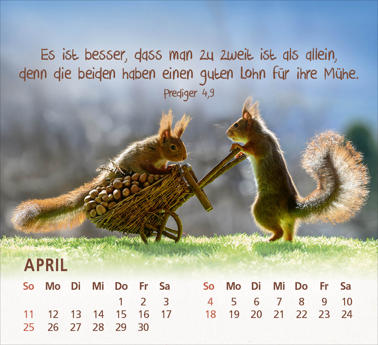bolanz-du-bist-meine-freude-2027-tischkalender-eichh-rnchen image 6