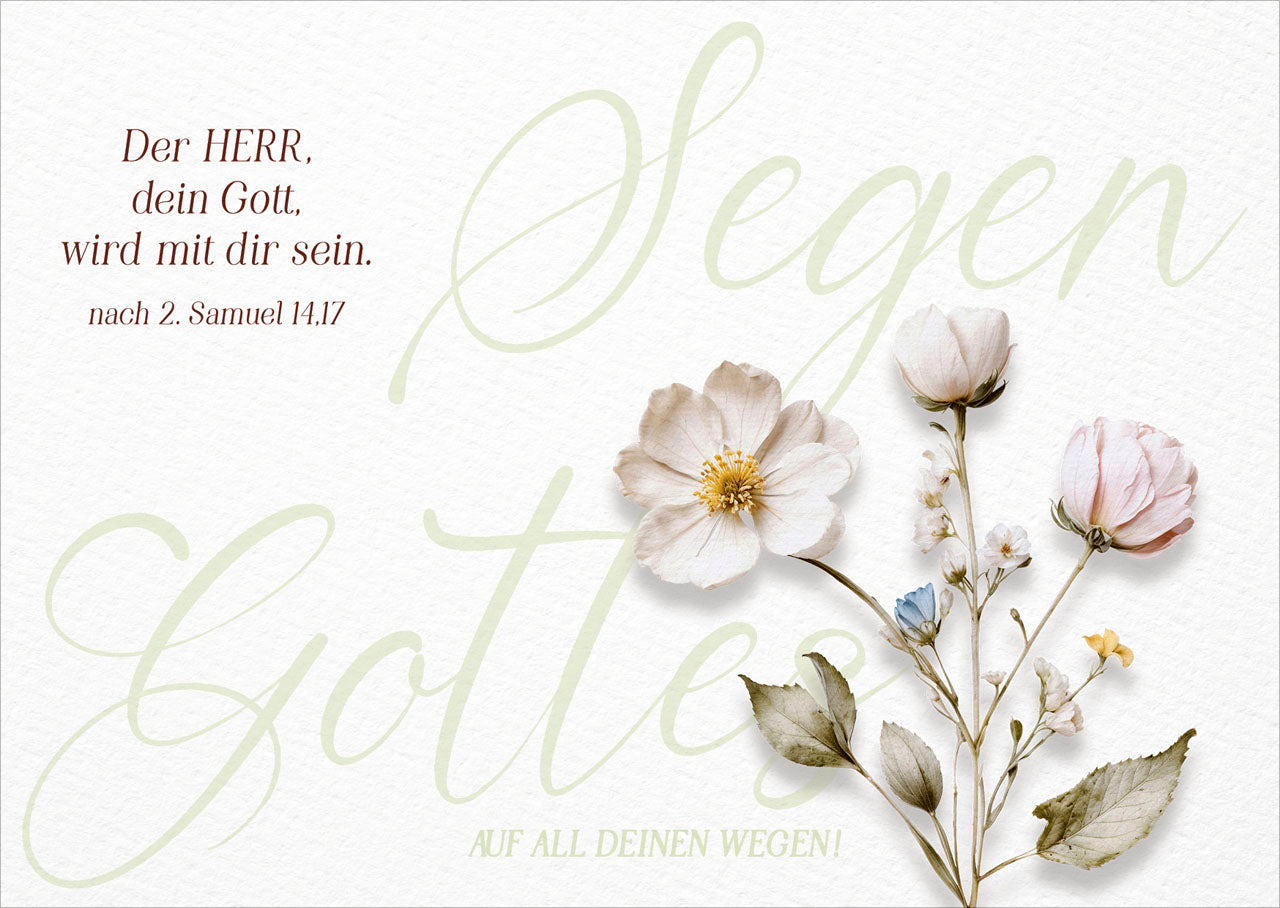 fontis-papeterie-gottes-segen-postkarten-12er-set-bibelvers image 1