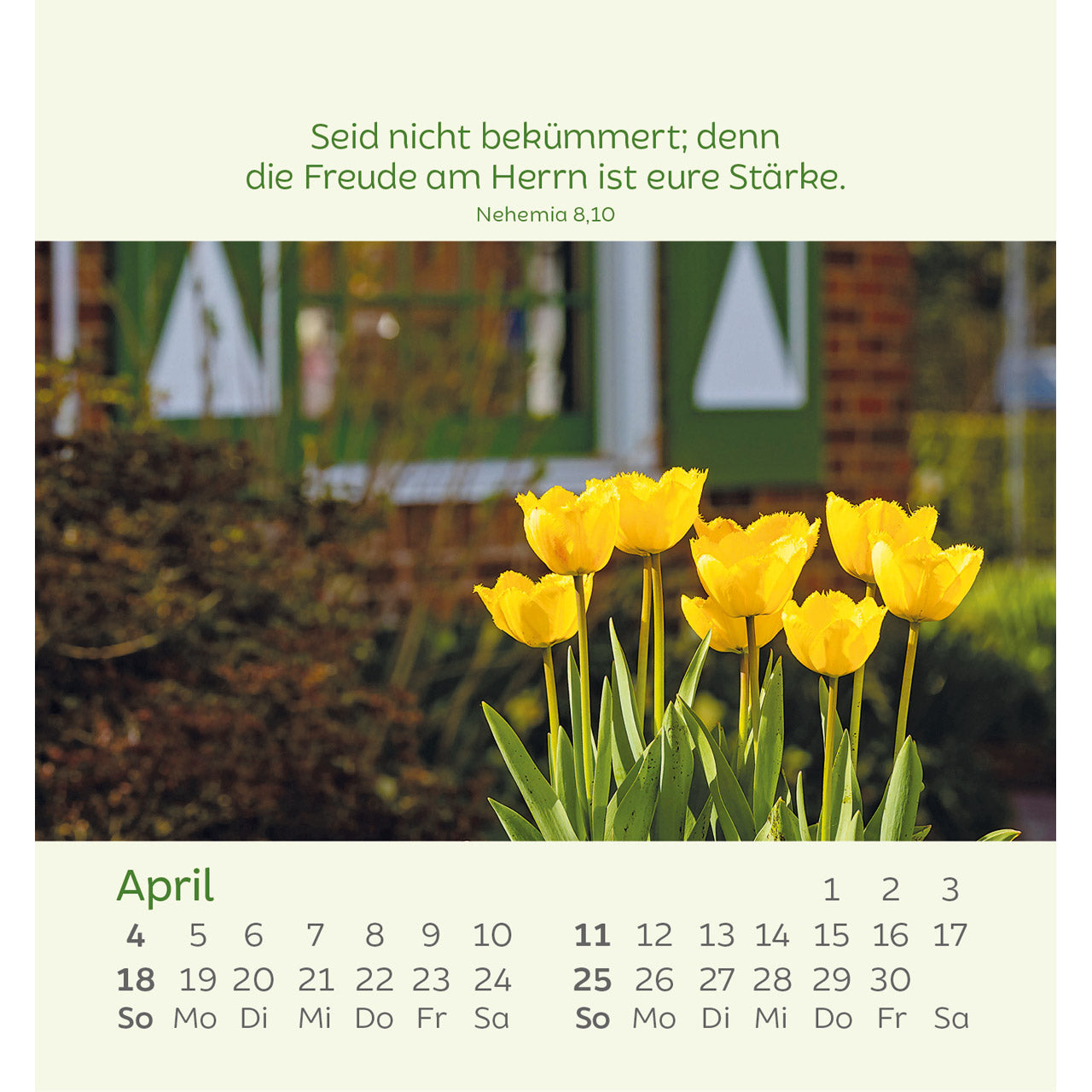 kleine-blumengr-e-2027-aufstellkalender-blumenmotive image 6