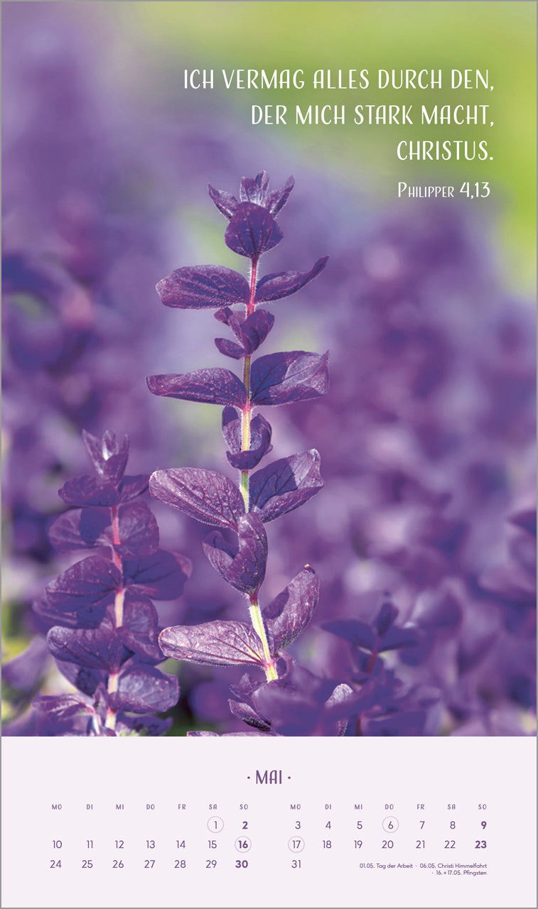 fontis-kalender-zarte-blumengr-e-2027-posterkalender-29x49 image 7