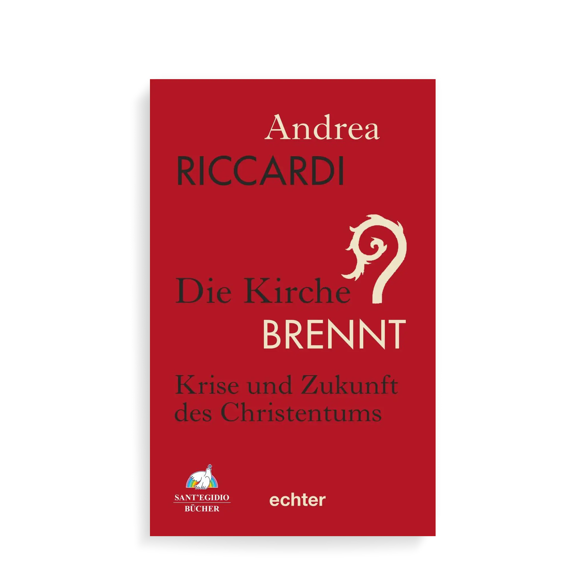 bonifatiuswerk-die-kirche-brennt-buch-krise-zukunft-christentum image 1