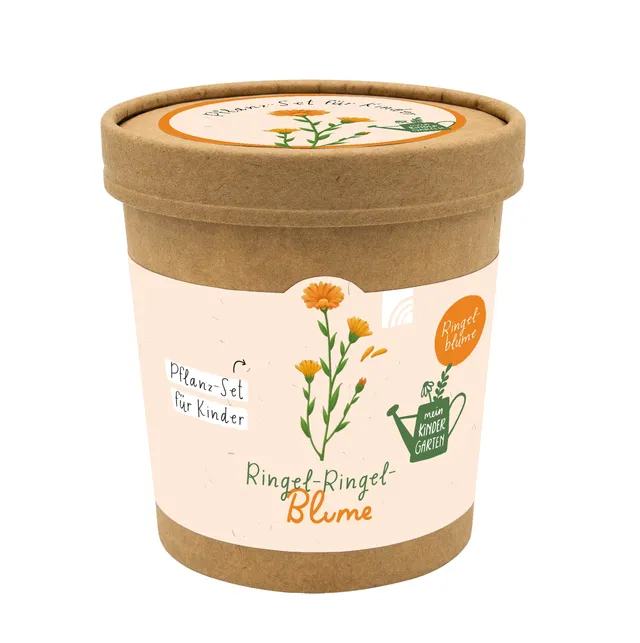 fontis-geschenke-ringel-ringel-blume-pflanz-set-kinder image 1